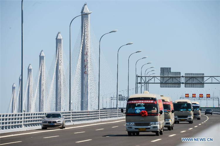 Официально открылось движение по самому длинному и широкому в мире вантовому автодорожному мосту Цзясин-Шаосин (4)