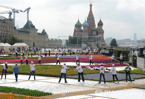 Монтаж цветочного ковра на Красной площади
