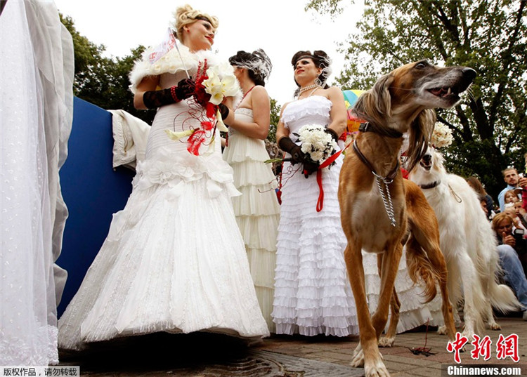 В Беларуси состоялся парад невест (4)