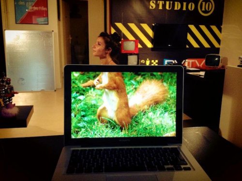 Забавный офисный фото-мем "Safari Desk" (11)