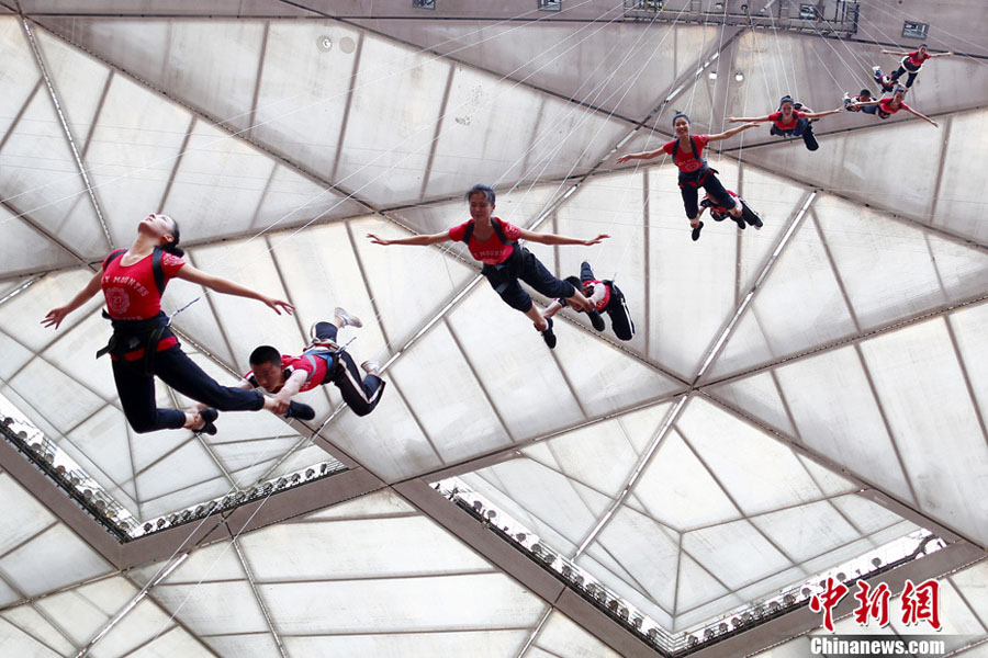 В спортивном комплексе «Птичье гнездо» пройдет шоу воздушных акробатов  (13)
