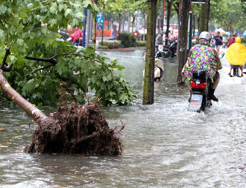 Сильный ливень привел к затоплению старых районов в Шанхае