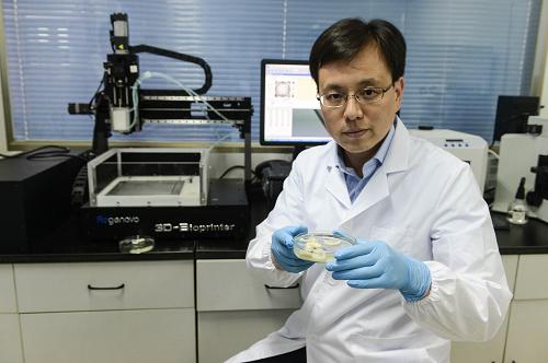 Китайский 3D-принтер может печатать клетчатку (5)