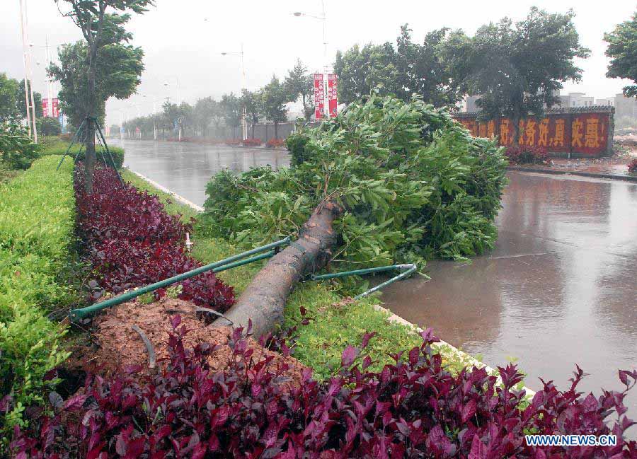 Мощный тайфун "Утор" достиг побережья г. Янцзян пров. Гуандун (2)