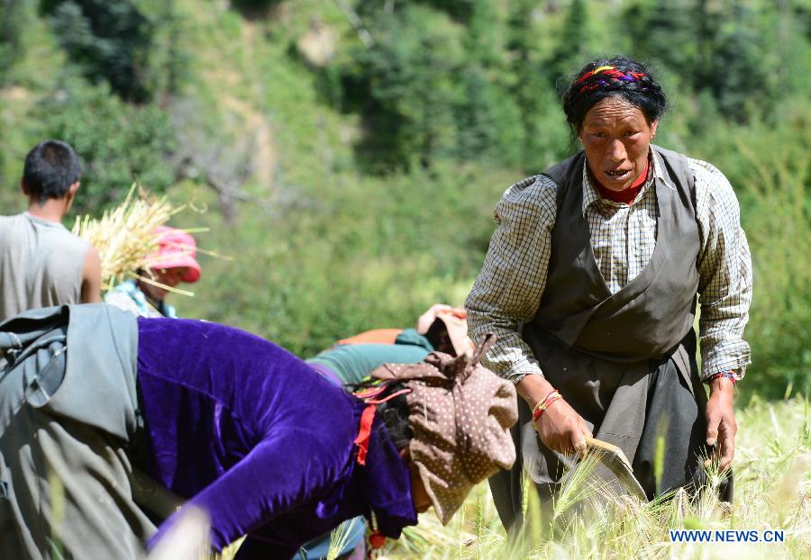 Пострадавшие от землетрясения жители Тибета получили необходимые для жизни условия (3)