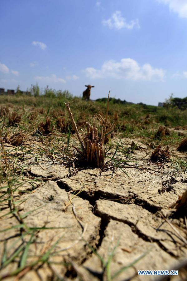 На юге Китая ситуация с засухой продолжает улучшаться (2)