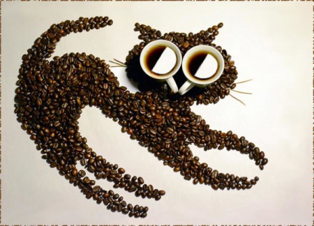 Кофе в зернах (10)