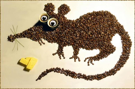Кофе в зернах (7)