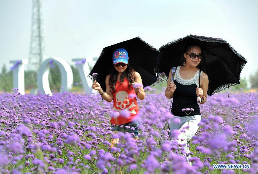 Средняя температура воздуха в Китае в августе стала рекордной с 1961 года (3)