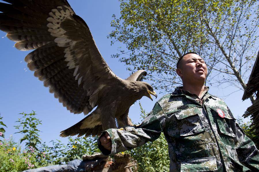 В провинции Цзилинь образовано Общество по наследованию традиций соколиной охоты (2)