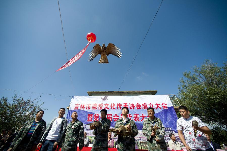 В провинции Цзилинь образовано Общество по наследованию традиций соколиной охоты (5)