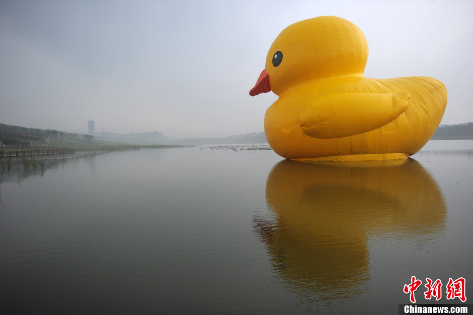 Огромная резиновая утка приплыла к парку ЭКСПО в Пекине (10)