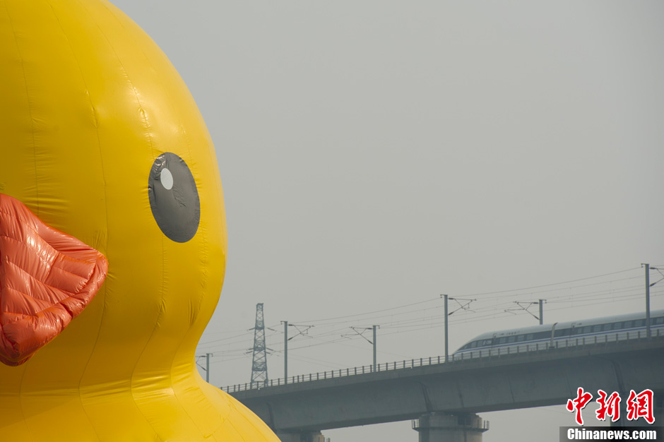 Огромная резиновая утка приплыла к парку ЭКСПО в Пекине (3)