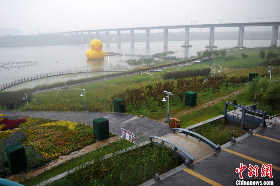 Огромная резиновая утка приплыла к парку ЭКСПО в Пекине (8)