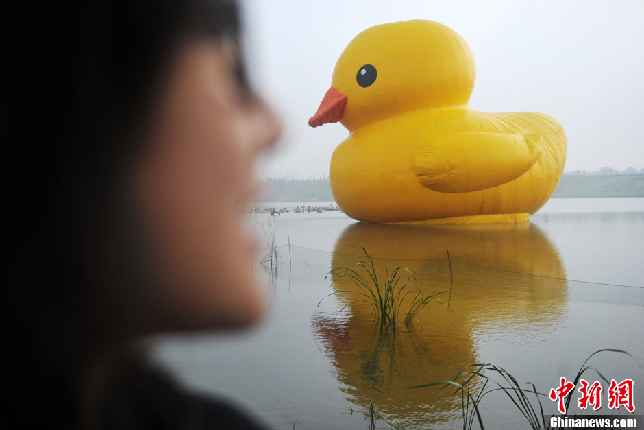 Огромная резиновая утка приплыла к парку ЭКСПО в Пекине (16)