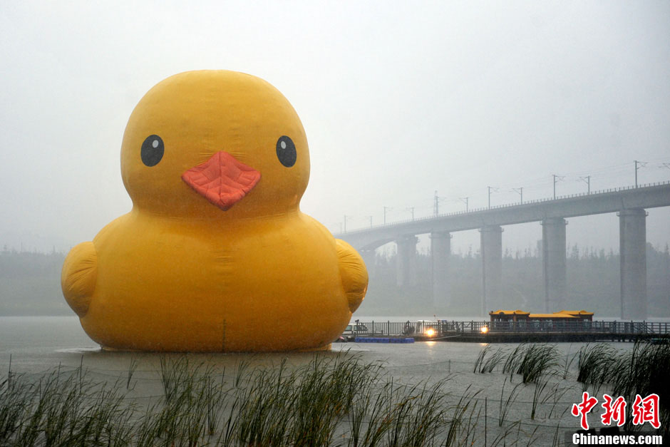 Огромная резиновая утка приплыла к парку ЭКСПО в Пекине (17)