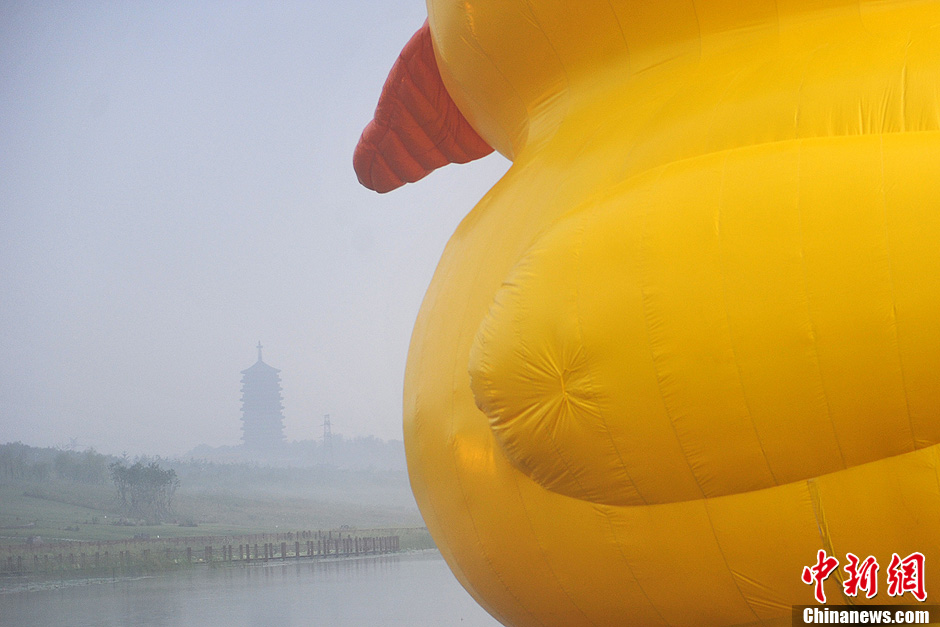 Огромная резиновая утка приплыла к парку ЭКСПО в Пекине (9)