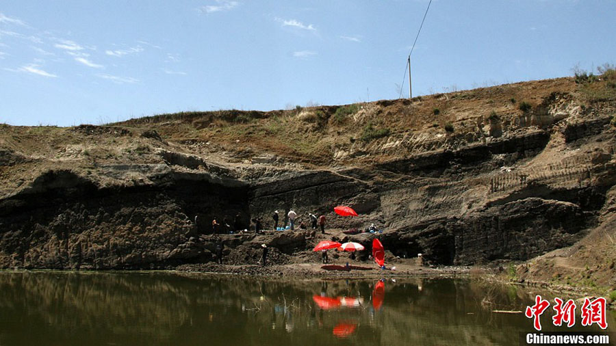 Китай: в провинции Юньнань обнаружены окаменелые кости головы австралопитека, существовавшего более 6 млн лет назад (4)