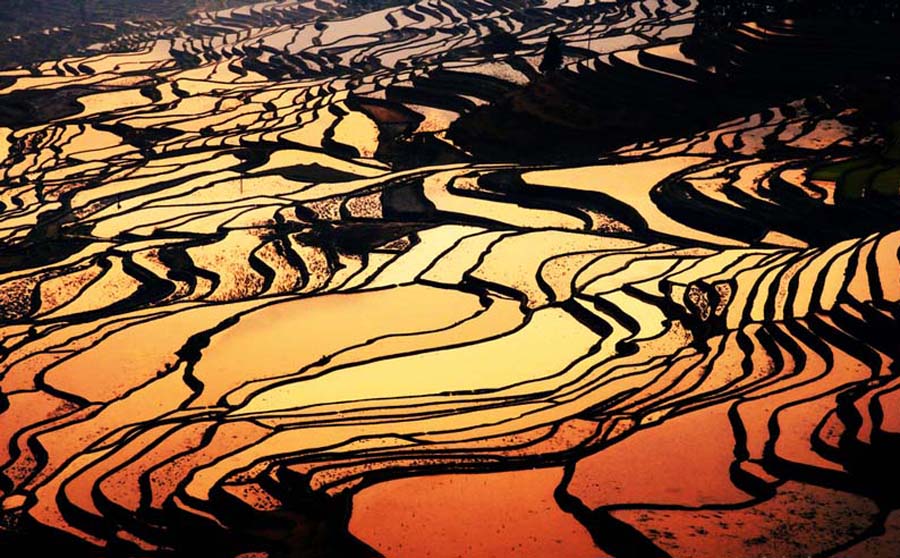 Мировое наследие провинции Юньнань: Рисовые террасы Юаньян (2)