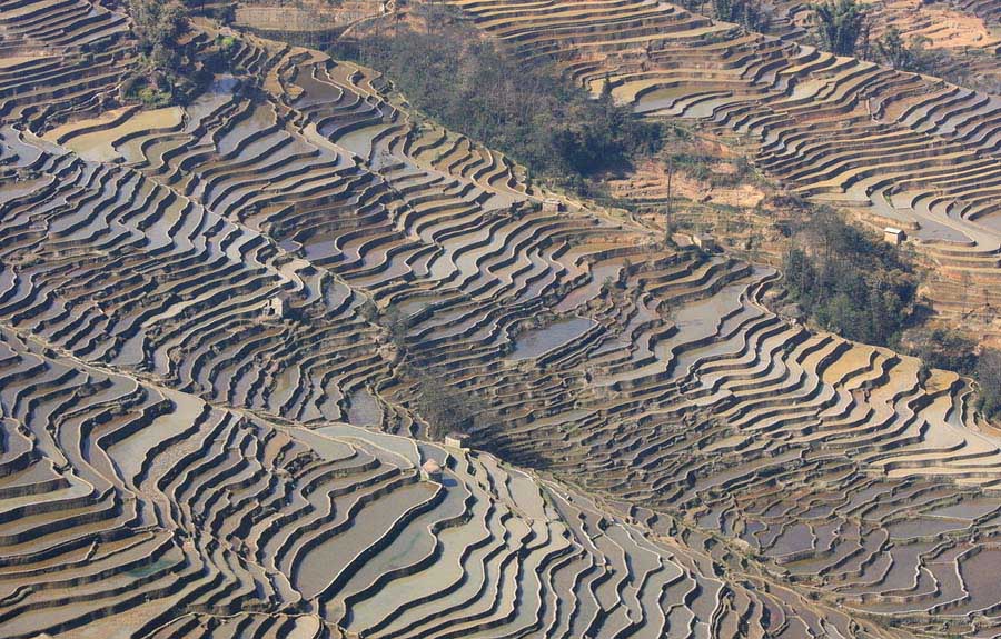 Мировое наследие провинции Юньнань: Рисовые террасы Юаньян (10)