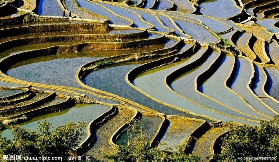 Мировое наследие провинции Юньнань: Рисовые террасы Юаньян (8)