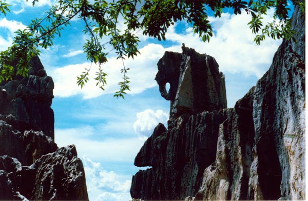 Ландшафтные зоны категории 5А в провинции Юньнань: Живописный район Каменный лес или Шилинь (3)