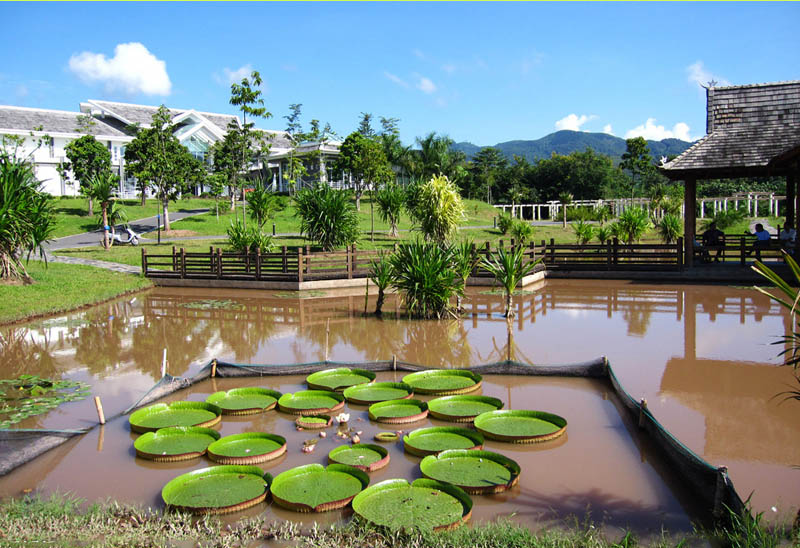 Ландшафтные зоны категории 5А в провинции Юньнань: Тропический ботанический сад в Сишуанбаньна (5)