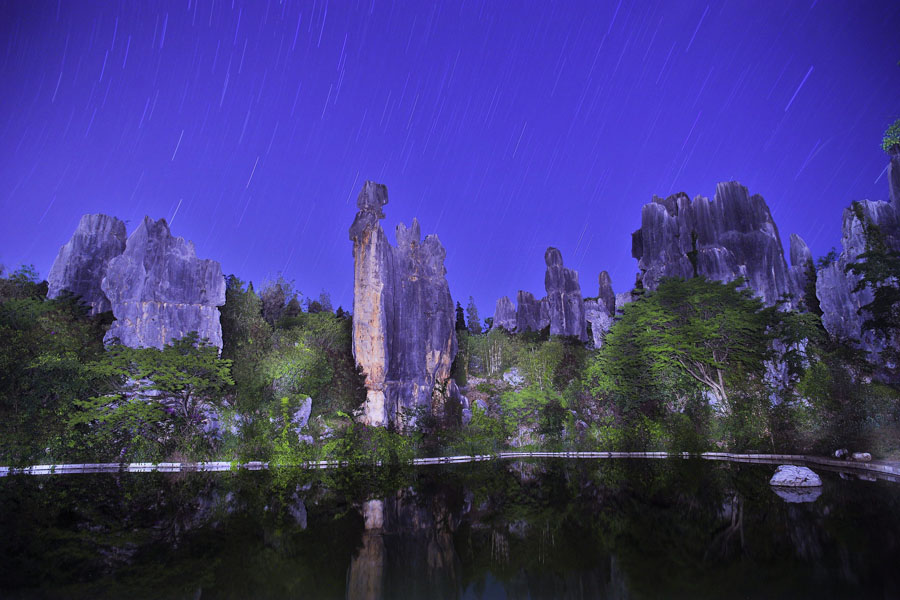 Фото: Ночной Каменный лес (2)