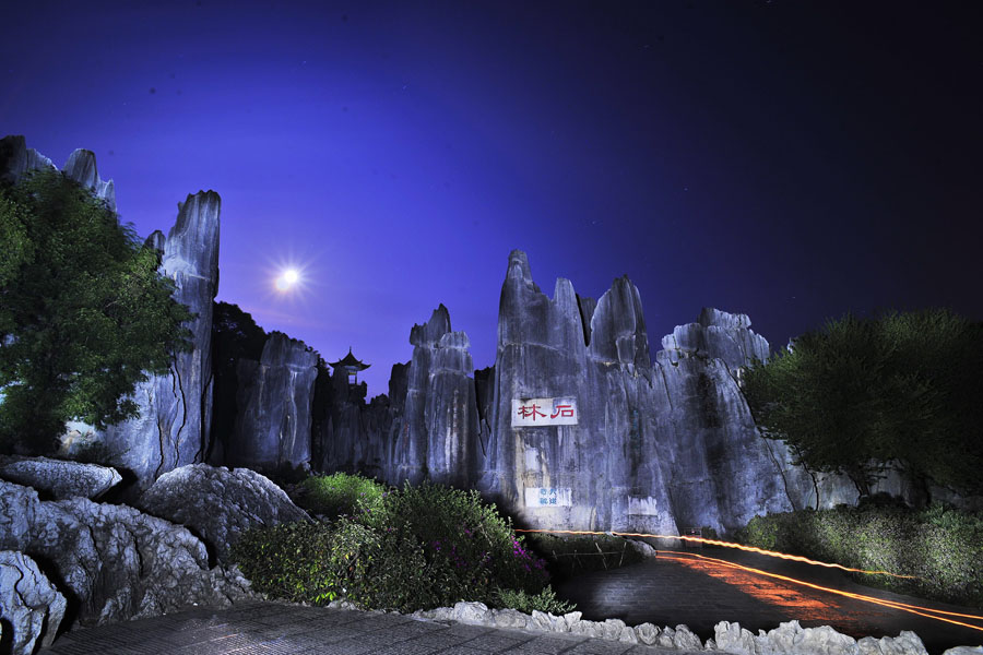 Фото: Ночной Каменный лес