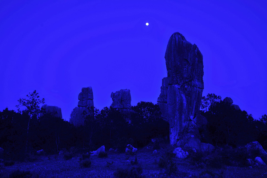 Фото: Ночной Каменный лес (4)