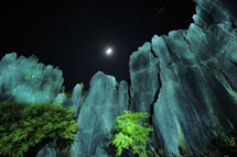Ночной Каменный лес