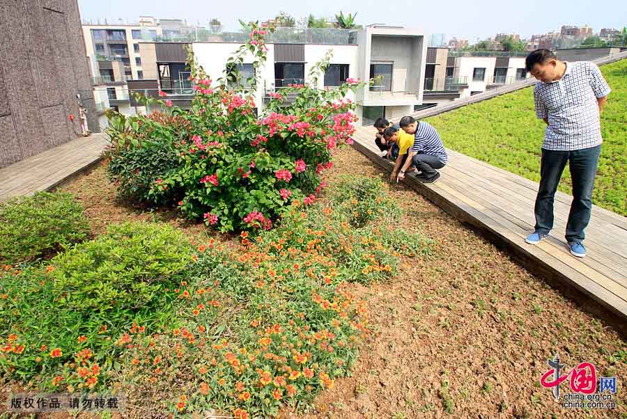 В Нанкине открылся Всемирный конгресс Green Roof 2013 года (3)