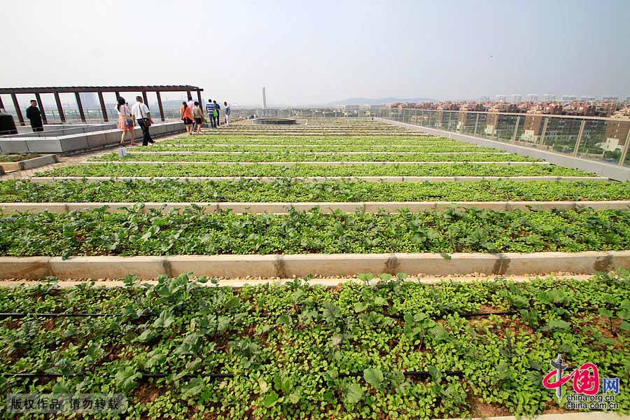 В Нанкине открылся Всемирный конгресс Green Roof 2013 года (2)