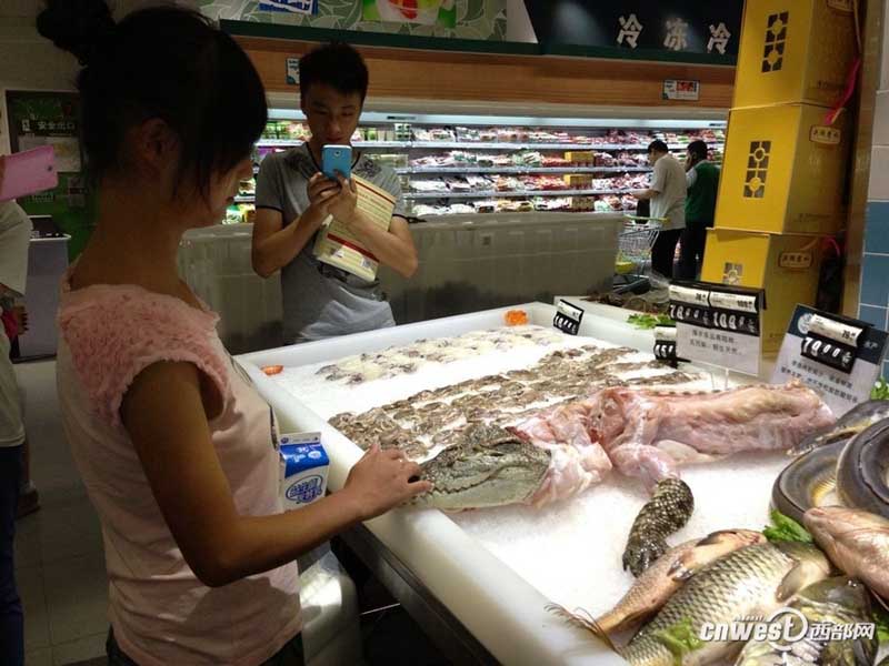В одном из супермаркетов Сианя в продаже появилось мясо крокодила (4)