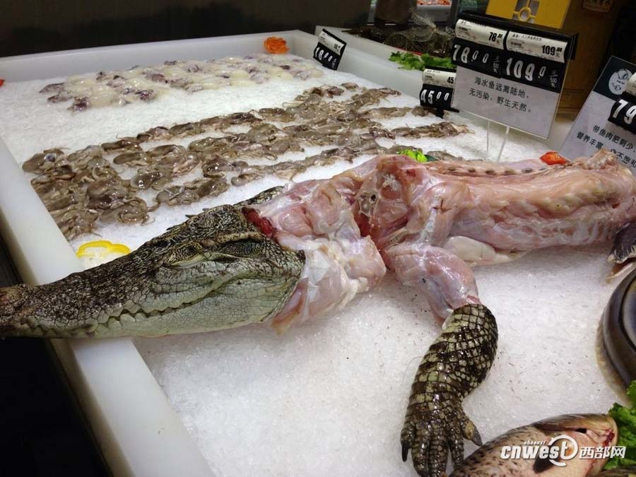 В одном из супермаркетов Сианя в продаже появилось мясо крокодила (2)
