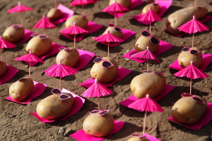 Веселые картошки в розовых очках