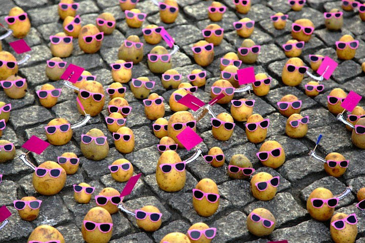 Веселые картошки в розовых очках (6)