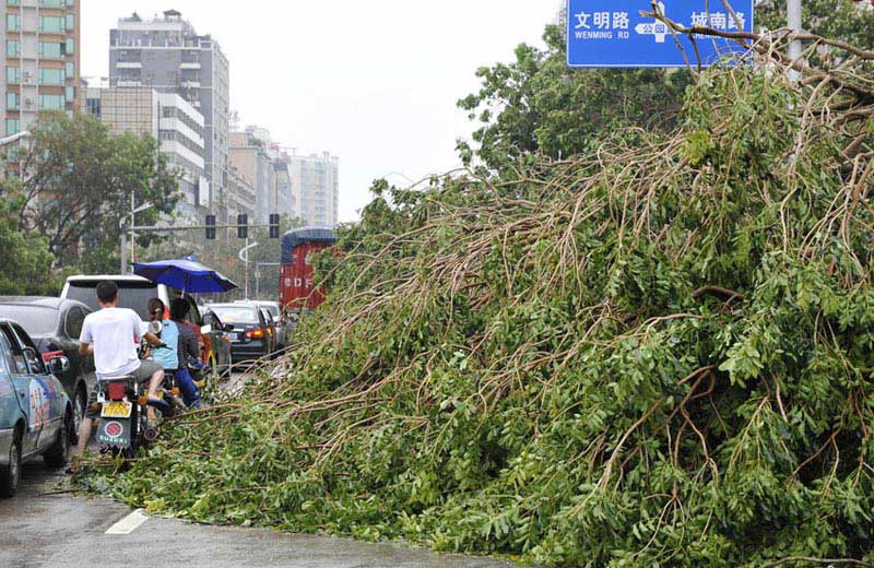 В Южном Китае 25 человек стали жертвами мощного тайфуна "Усаги" (4)