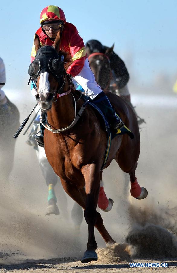 В Китае начались 2-е Китайские состязания по конному спорту (7)