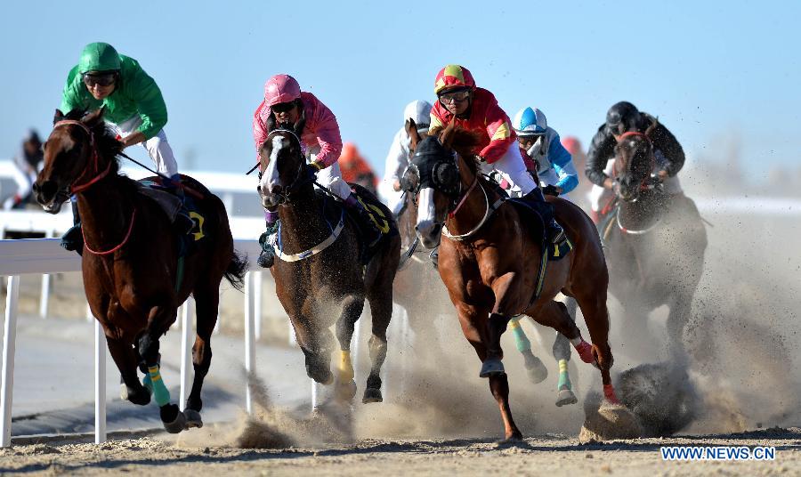 В Китае начались 2-е Китайские состязания по конному спорту (6)