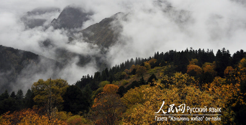 Ландшафтная зона Хуанлун – святая земля для очищения души (10)