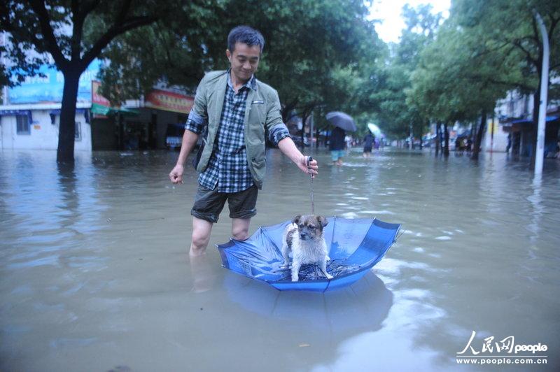 В Юйяо провинции Чжэцзян прошел сильнейший ливень, который привел к затоплению более 70% городских районов (8)
