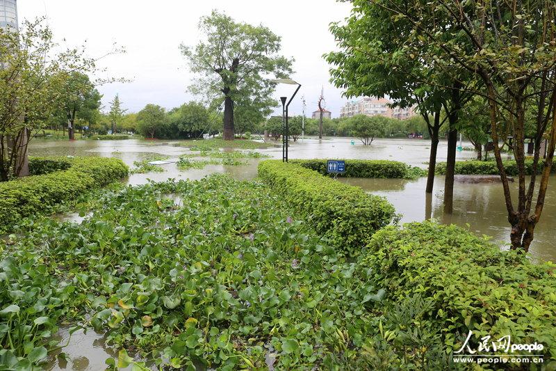 В Юйяо провинции Чжэцзян прошел сильнейший ливень, который привел к затоплению более 70% городских районов (4)