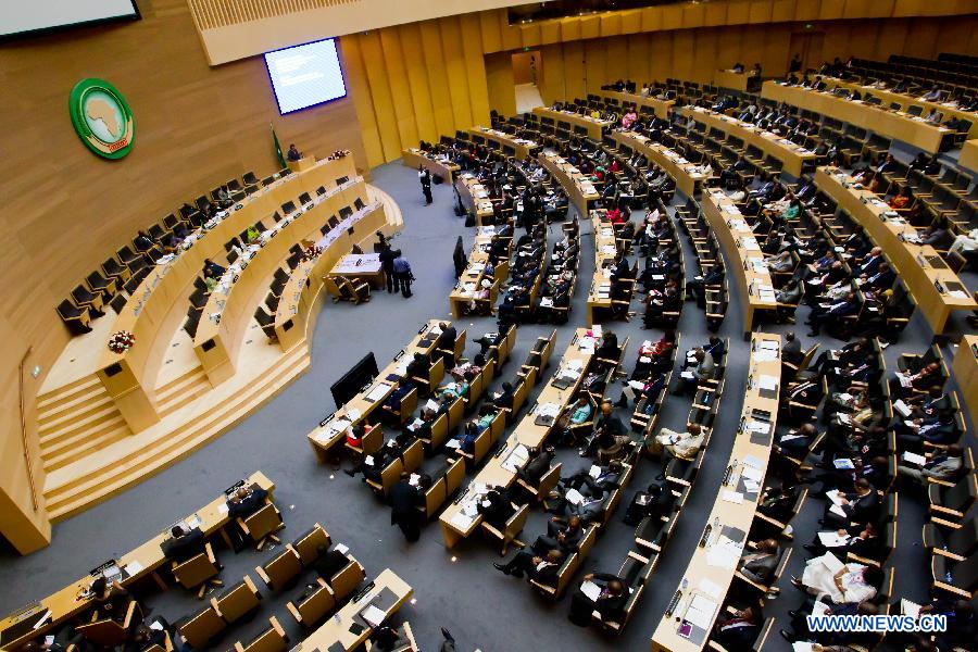 Африканский союз считает предвзятым отношение Международного уголовного суда к странам Африки (3)