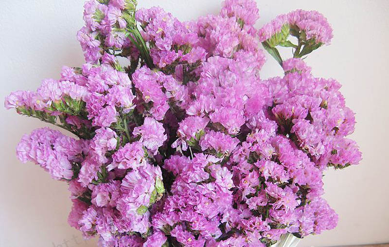 Товары местного производства провинции Юньнань: Сухие цветы
