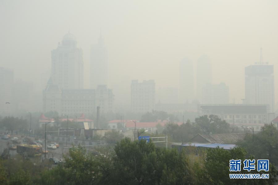 Китайский город Харбин окутало смогом (8)