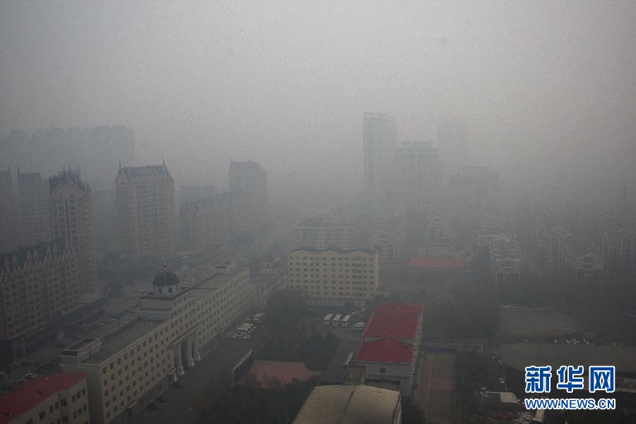 Китайский город Харбин окутало смогом (7)
