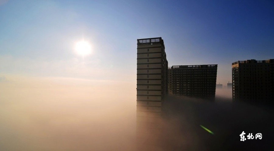 Китайский город Харбин окутало смогом (5)