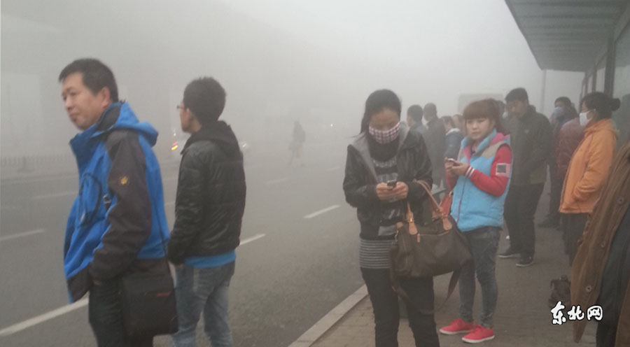 Китайский город Харбин окутало смогом (6)
