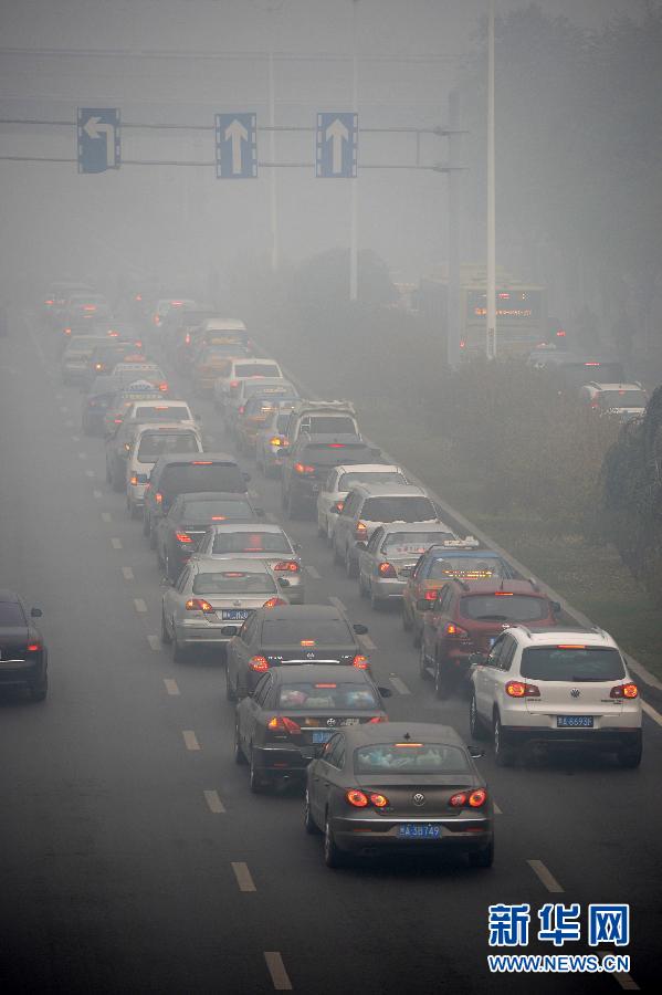 Китайский город Харбин окутало смогом (4)